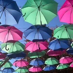 Meet your Posher, Richelle